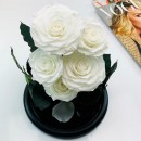 Букет червоних стабілізованих троянда в колбі Lux 33 см-3