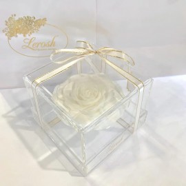 Стабілізований бутон білої троянди Lux в прозорій подарунковій коробці-1