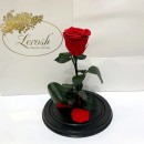 Жива троянда в колбі Lerosh Classic Червона 27 см -4