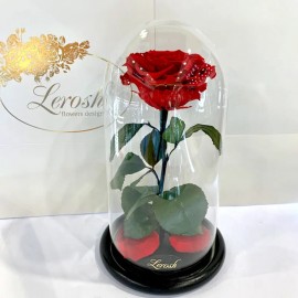 Червона стабілізована троянда в колбі Lerosh Premium 27 см-1